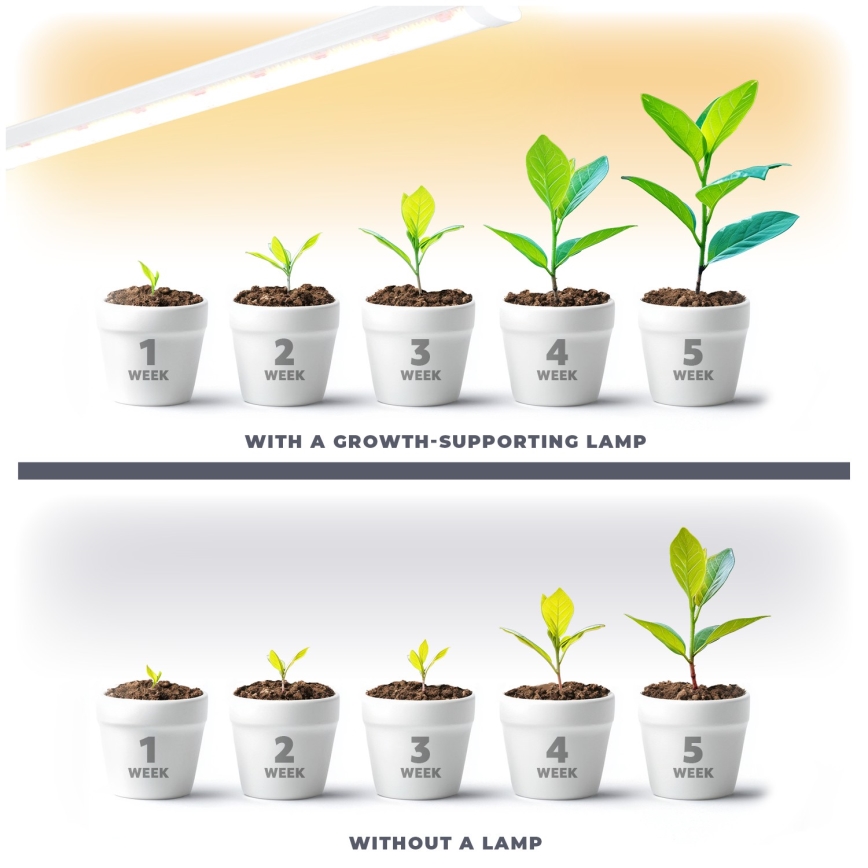 LED Unterbauleuchte für Pflanzenzucht GROWLY LED/15W/230W
