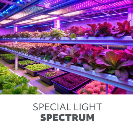 LED Unterbauleuchte für Pflanzenzucht GROWLY LED/15W/230W