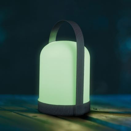 LED RGBW Dekorative Tischlampe MINORKA LED/0,3W/4,5V 3xAA