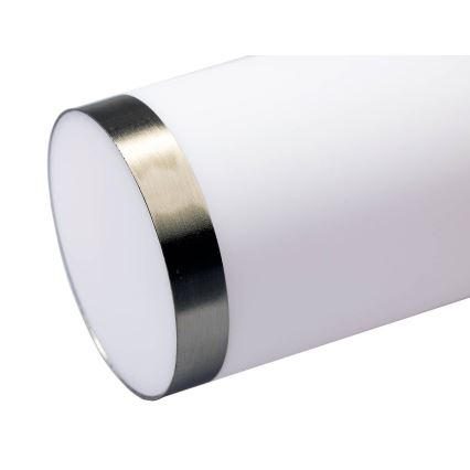 LED RGBW dimmbare Außenwandleuchte LIVIA 1xE27/6,5W/230V 2700-6500K Wi-Fi IP44 silber