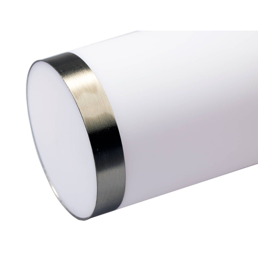 LED RGBW dimmbare Außenwandleuchte LIVIA 1xE27/6,5W/230V 2700-6500K Wi-Fi IP44 silber