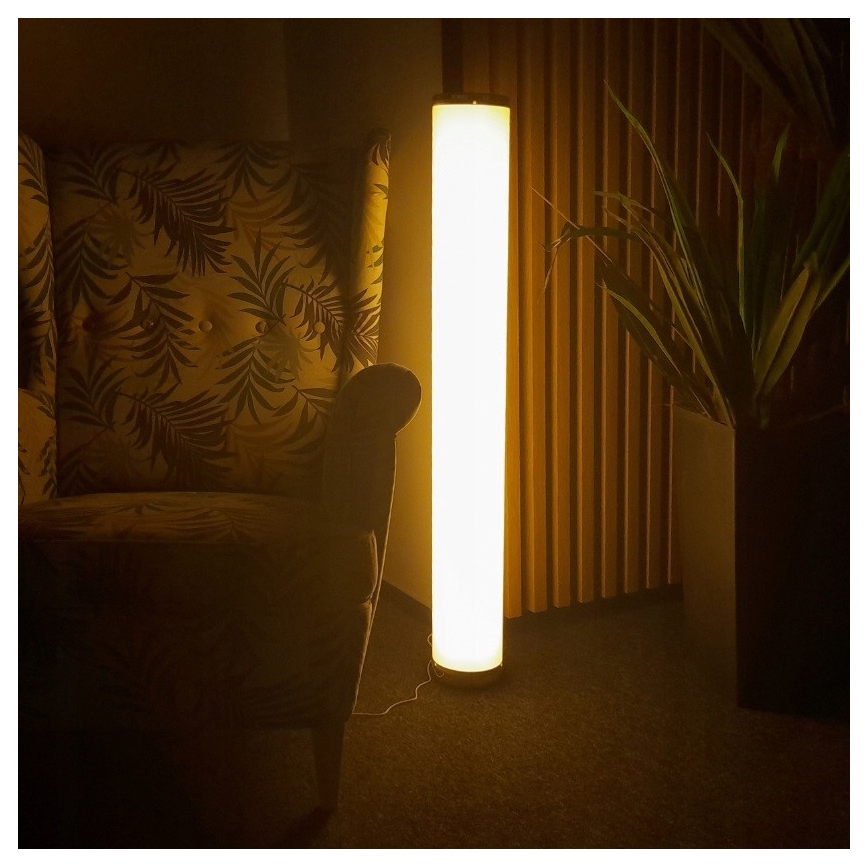 LED RGBW dimmbare Stehlampe STELLA LED/12W/230V + Fernbedienung