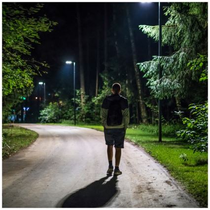 Dimmbare LED-Solarstraßenlampe mit Bewegungs- und Dämmerungssensor URBI LED/8W/3,2V 6500K IP54 10000 mAh + Fernbedienung