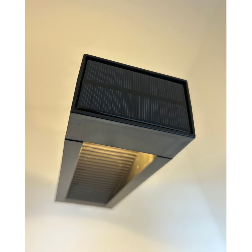 LED Solarlampe 2xLED/1,2V 200 mAh IP44 schwarz
