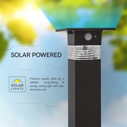 LED Solarleuchte mit Sensor LED/2,5W/3,7V IP54 3000K 2200 mAh