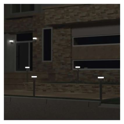 LED Solarleuchte mit Sensor LED/2W/3,7V 1200 mAh IP44 50 cm