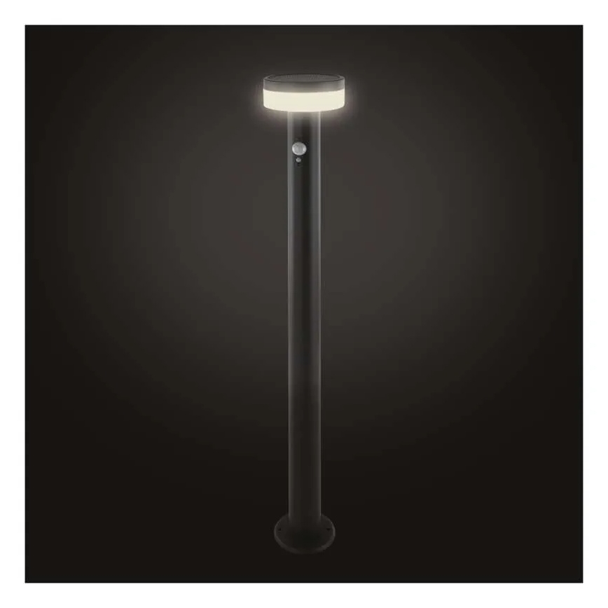 LED Solarleuchte mit Sensor LED/2W/3,7V 1200 mAh IP44 80 cm