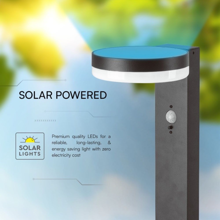 LED-Solarleuchte mit Sensor LED/2W/3,7V IP54 3000K 2200 mAh rund schwarz