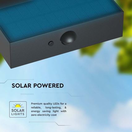 LED-Solarwandleuchte mit Sensor LED/3W/3,7V 3000K/4000K IP65 1200 mAh schwarz