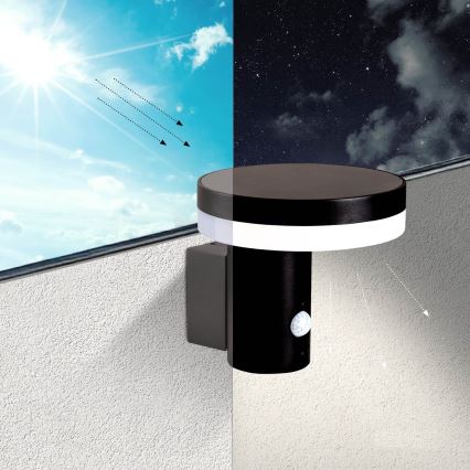 LED-Solarwandleuchte mit Sensor SOLARIS3 LED/5,5W/3,7V 4000K IP44 2600 mAh
