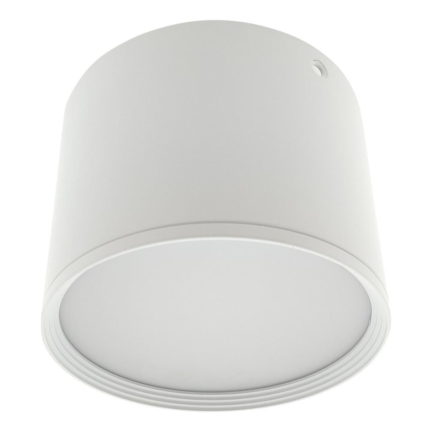 LED-Spot LED/10W/230V 3000/4000/6400K Ø 12 cm Weiß