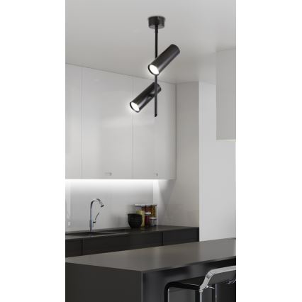 LED Spotlight TUBA 2xLED/10W/230V schwarz