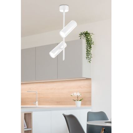 LED Spotlight TUBA 2xLED/10W/230V weiß