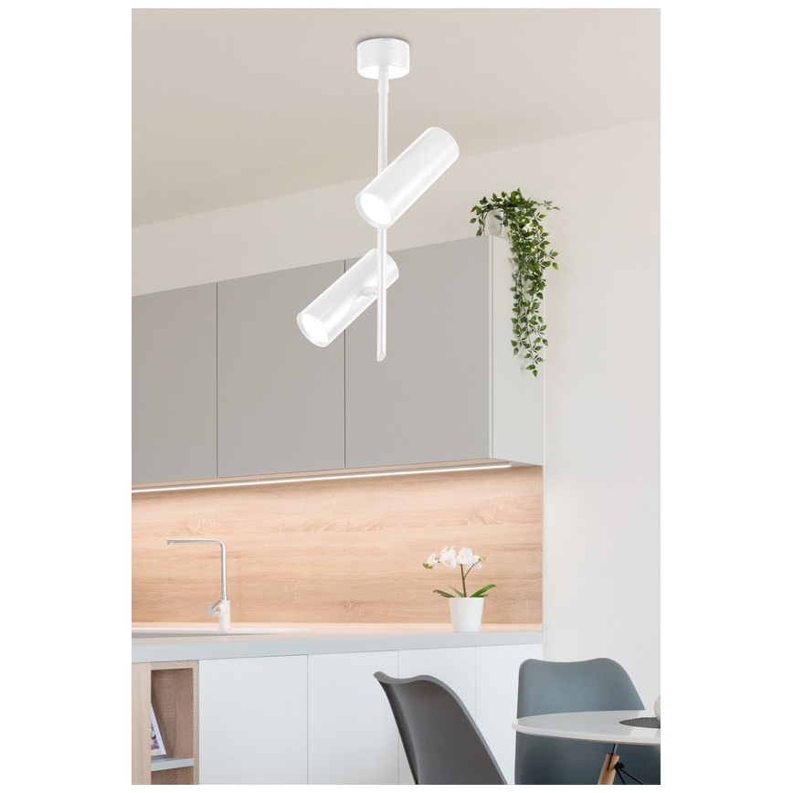 LED Spotlight TUBA 2xLED/10W/230V weiß