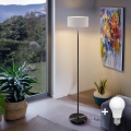 LED-Stehlampe TUNJA 1× E27/20 W/230 V, Ø 30 cm, schwarz/weiß