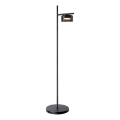 LED-Stehleuchte OFELIA 1xGX53/6W/230V schwarz/rauchfarben
