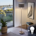 LED-Stehleuchte TUNJA 1xE27/20W/230V Ø 30 cm mattchrom/braun