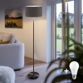 LED-Stehleuchte TUNJA 1xE27/20W/230V Ø 38 cm schwarz/braun