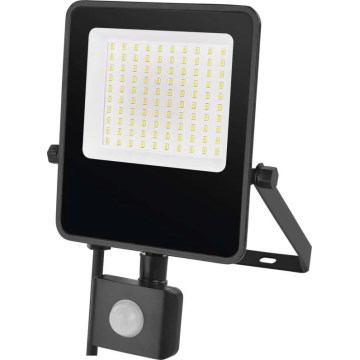 LED-Strahler mit Sensor VISIO LED/50W/230V 4000K IP65