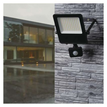 LED-Strahler mit Sensor VISIO LED/50W/230V 4000K IP65