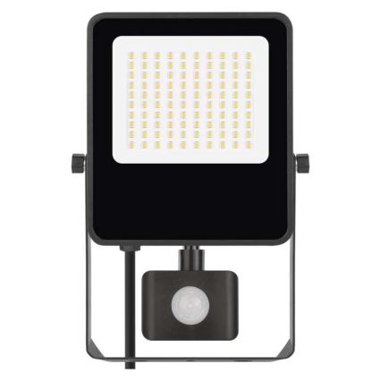 LED-Strahler mit Sensor VISIO LED/50W/230V 4000K IP65
