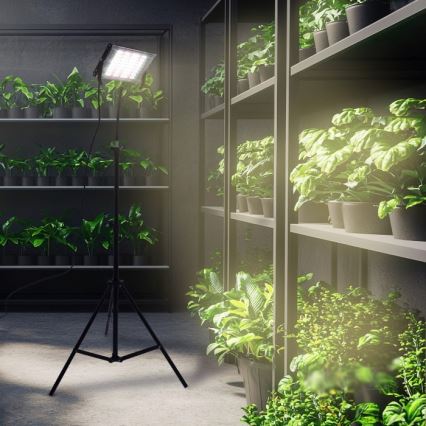 LED-Strahler mit Stativ für die Pflanzenzucht FIRON LED/45W/230V IP54 schwarz