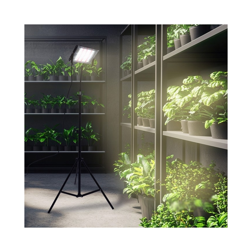 LED-Strahler mit Stativ für die Pflanzenzucht FIRON LED/45W/230V IP54 schwarz