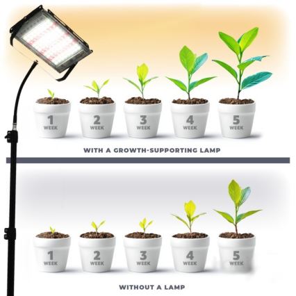 LED-Strahler mit Stativ für die Pflanzenzucht FIRON LED/45W/230V IP54 schwarz