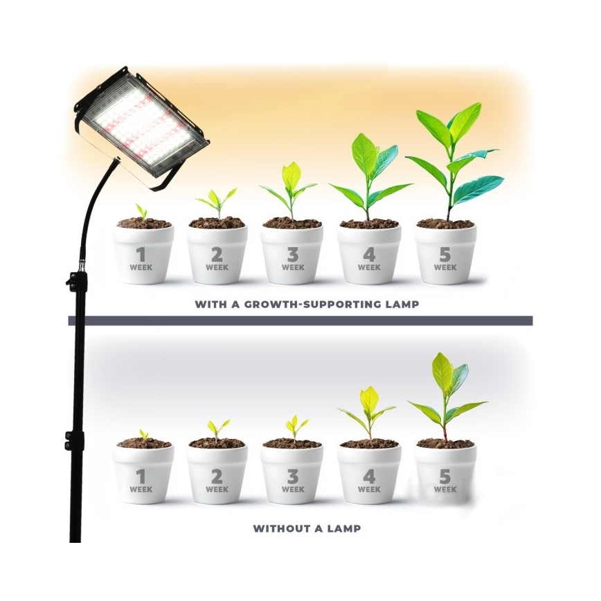 LED-Strahler mit Stativ für die Pflanzenzucht FIRON LED/45W/230V IP54 schwarz