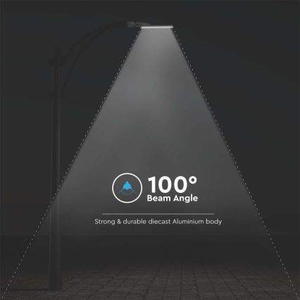 LED Straßenlampe SAMSUNG CHIP LED/100W/230V 6500K IP65 grau