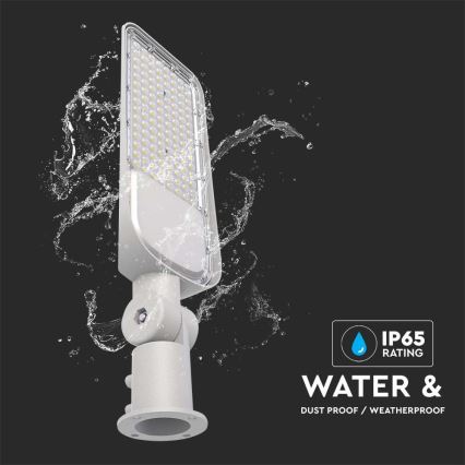 LED Straßenlampe SAMSUNG CHIP LED/100W/230V 6500K IP65 grau