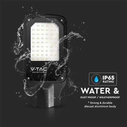 LED Straßenlampe LED/30W/230V 6500K IP65