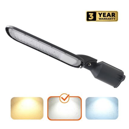 LED-Straßenleuchte BRELUXO LED/100W/230V 4000K IP65
