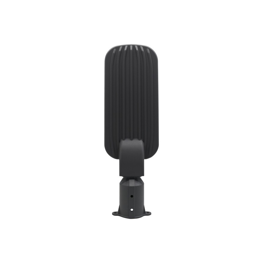 LED-Straßenleuchte BRELUXO LED/100W/230V 4000K IP65