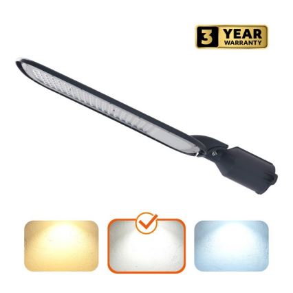 LED-Straßenleuchte BRELUXO LED/200W/230V 4000K IP65