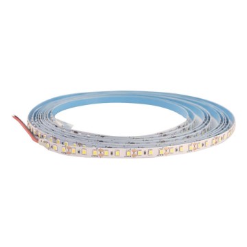 LED-Streifen DAISY 5m Tageslichtweiß