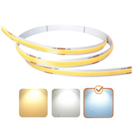 LED Streifen TRAMO LED/500W/24V 50 m 6500K