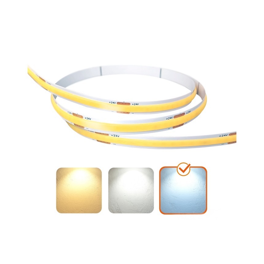 LED Streifen TRAMO LED/500W/24V 50 m 6500K