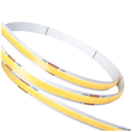 LED Streifen TRAMO LED/500W/24V 50 m 6500K