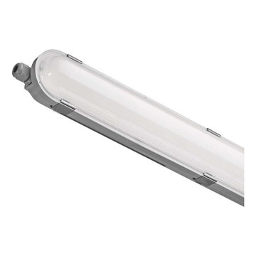 LED-Technikleuchte LED/53W/230V IP66 4000K