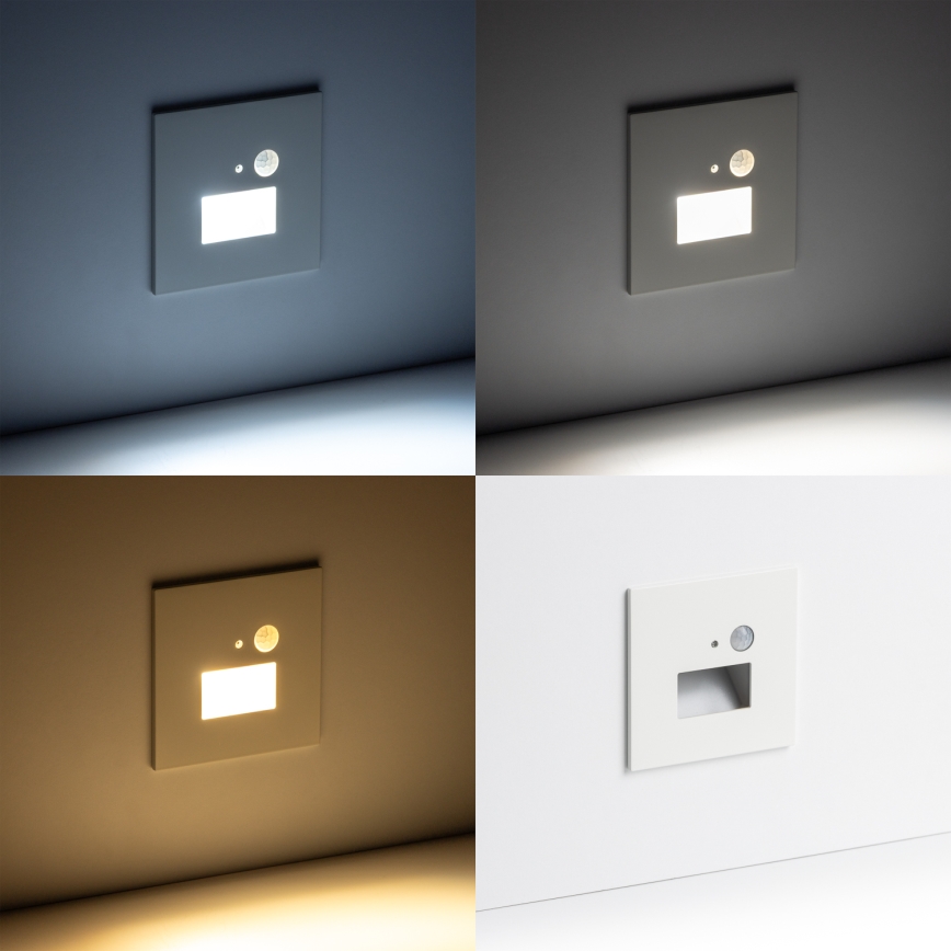 LED-Treppenleuchte mit Bewegungs- und Dämmerungssensor LED/1,5W/230V 3000/4000/6500K weiß