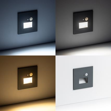 LED Treppenlicht mit Bewegungsmelder LED/1,5W/230V 3000K/4000K/6500K