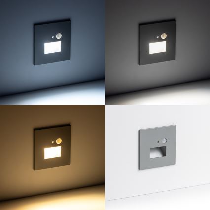 LED Treppenlicht mit Bewegungsmelder LED/1,5W/230V 3000K/4000K/6500K