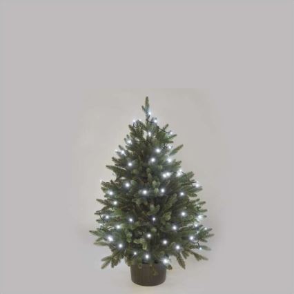 LED-Weihnachtskette für den Außenbereich 80xLED/13m IP44 kaltweiß