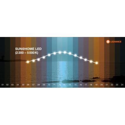 Ledvance - LED dimmbare Stehlampe SUN@HOME LED/36W/230V 2200-5000K CRI 95 Wi-Fi