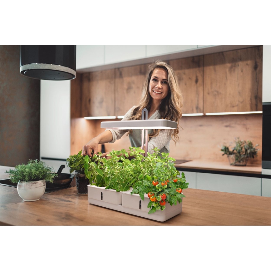 Ledvance - LED Innenleuchte für Pflanzen GARDEN KIT LED/24W/230V