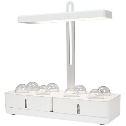 Ledvance - LED Innenleuchte für Pflanzen GARDEN KIT LED/24W/230V