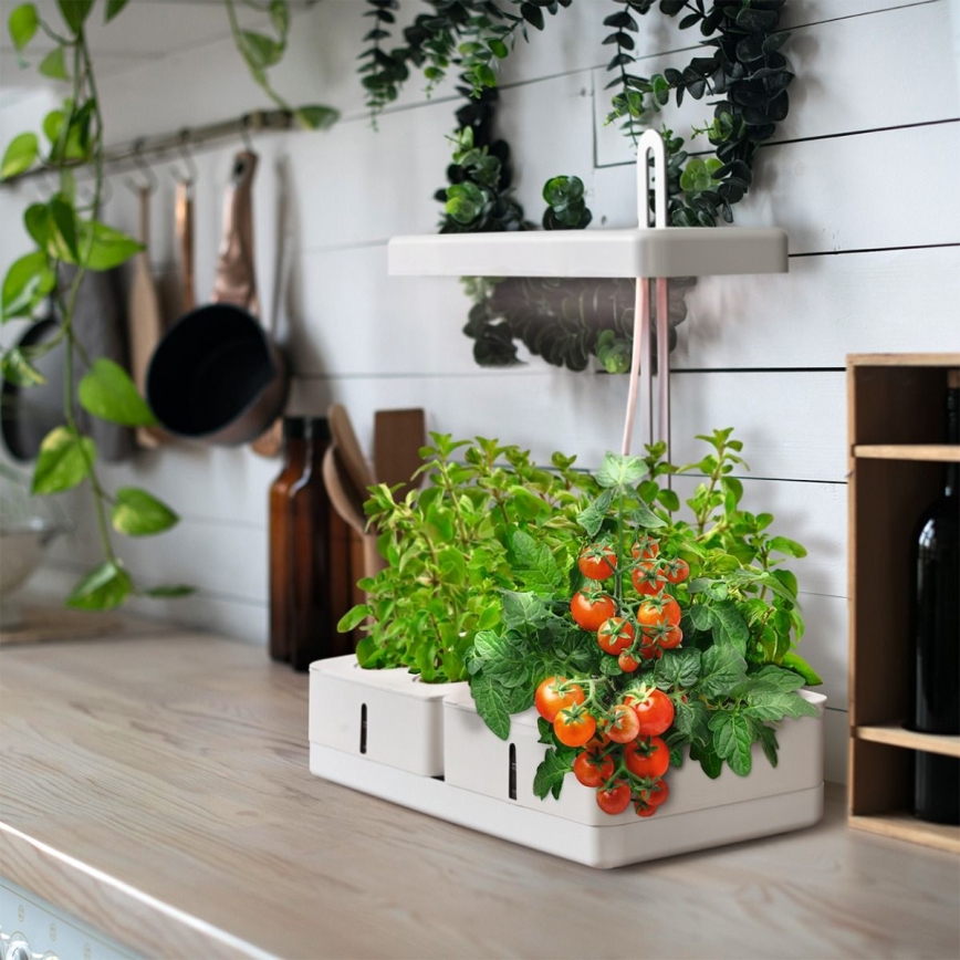 Ledvance - LED Innenleuchte für Pflanzen GARDEN KIT LED/24W/230V