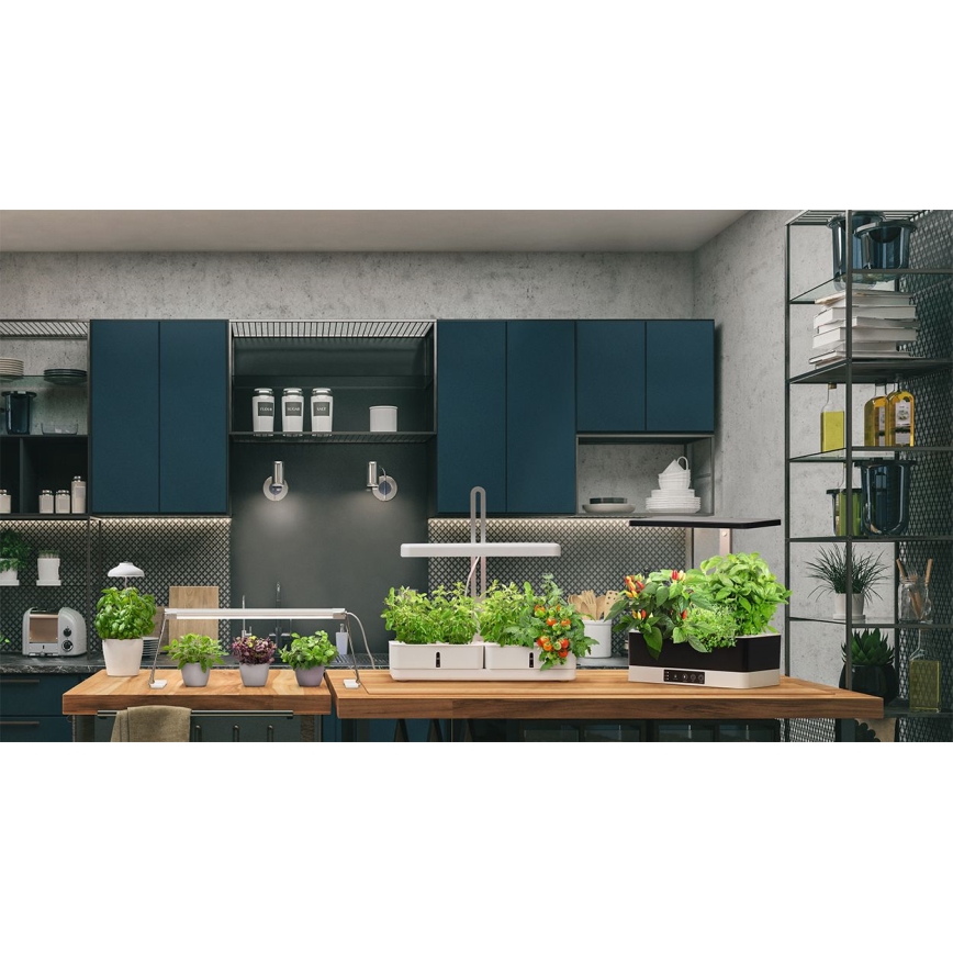 Ledvance - LED Innenleuchte für Pflanzen GARDEN KIT LED/24W/230V
