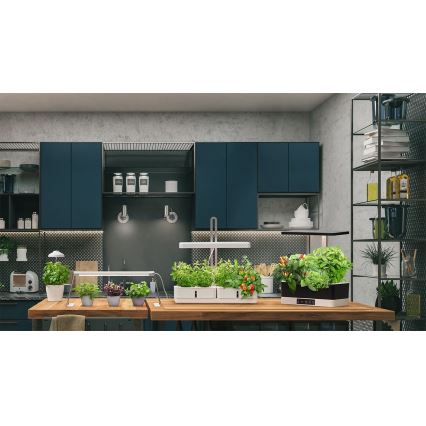Ledvance - LED Innenleuchte für Pflanzen GARDEN KIT LED/24W/230V